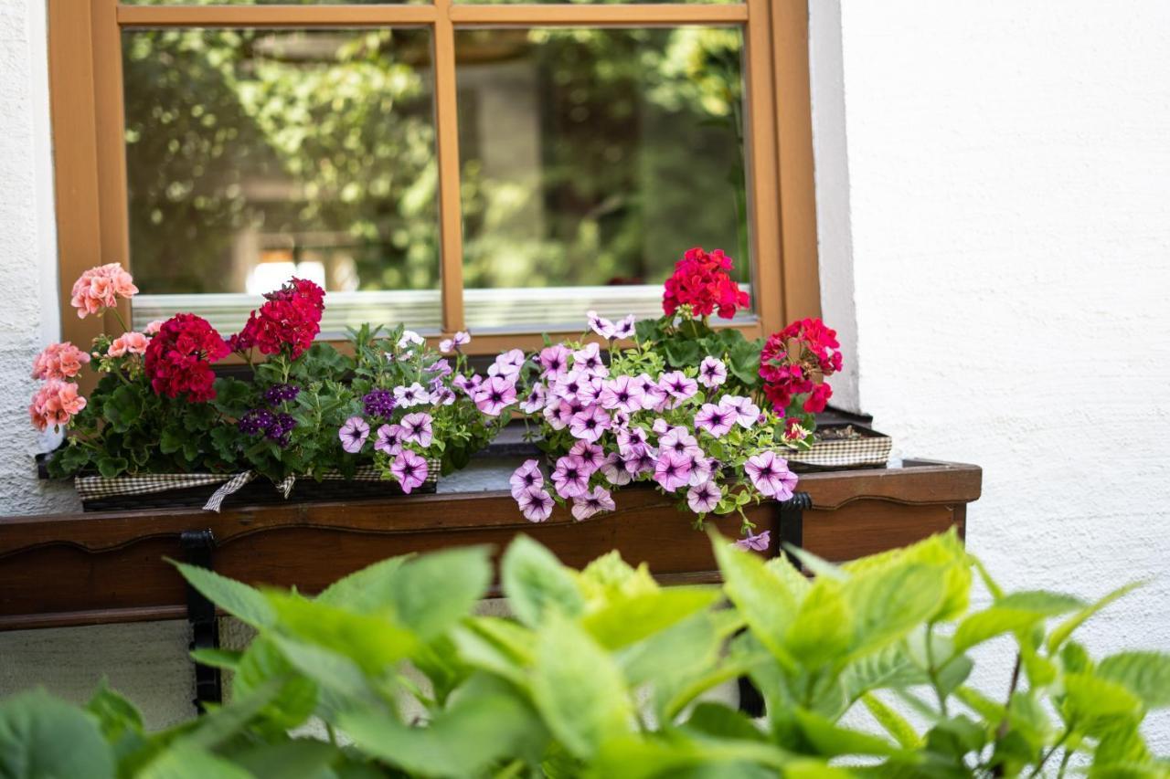 Apartment Salzburg City&Lake Elixhausen Εξωτερικό φωτογραφία